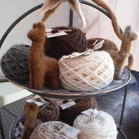 Monte Frio Alpacas Lantgård Nariz