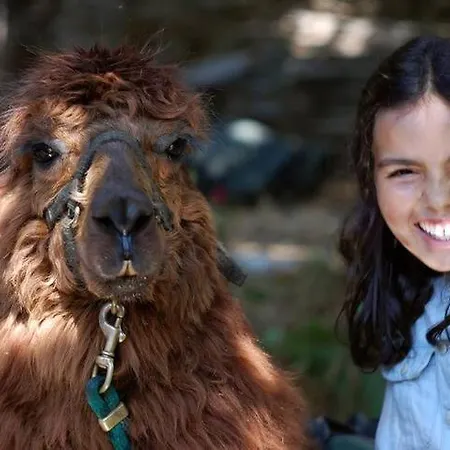 בית חווה Monte Frio Alpacas *