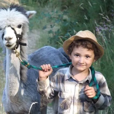 Monte Frio Alpacas *