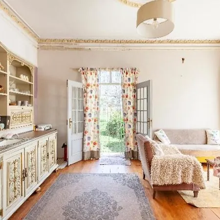 Monte Frio Alpacas * Nariz