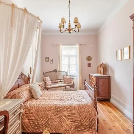 Monte Frio Alpacas Agroturismo Nariz