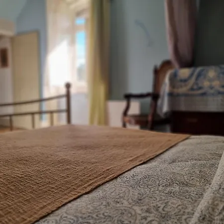 Monte Frio Alpacas *