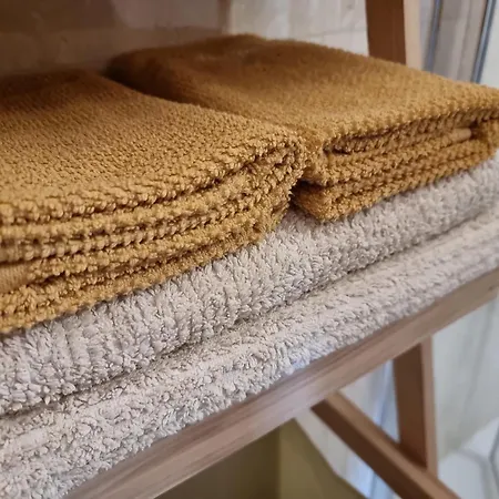 Monte Frio Alpacas Nariz