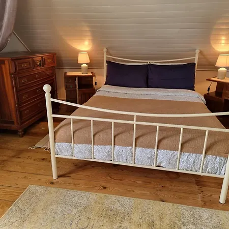 Monte Frio Alpacas *