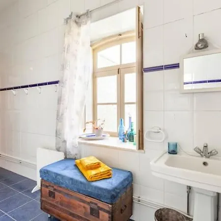 Monte Frio Alpacas *