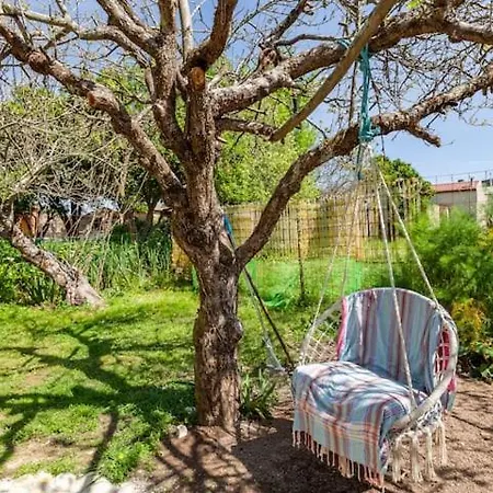 Monte Frio Alpacas Nariz