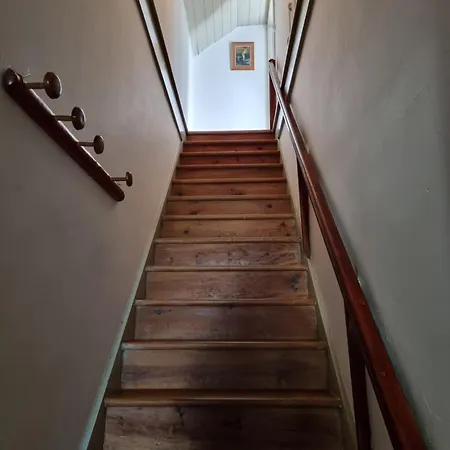 Monte Frio Alpacas *