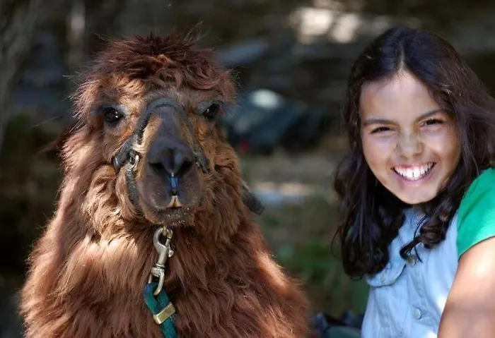 农家乐 Monte Frio Alpacas *