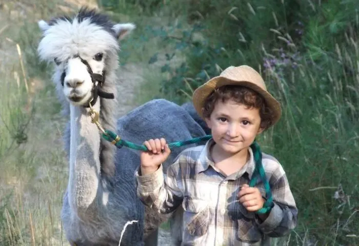 Monte Frio Alpacas *