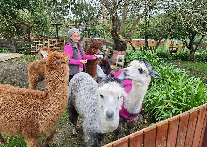 农家乐 Monte Frio Alpacas *